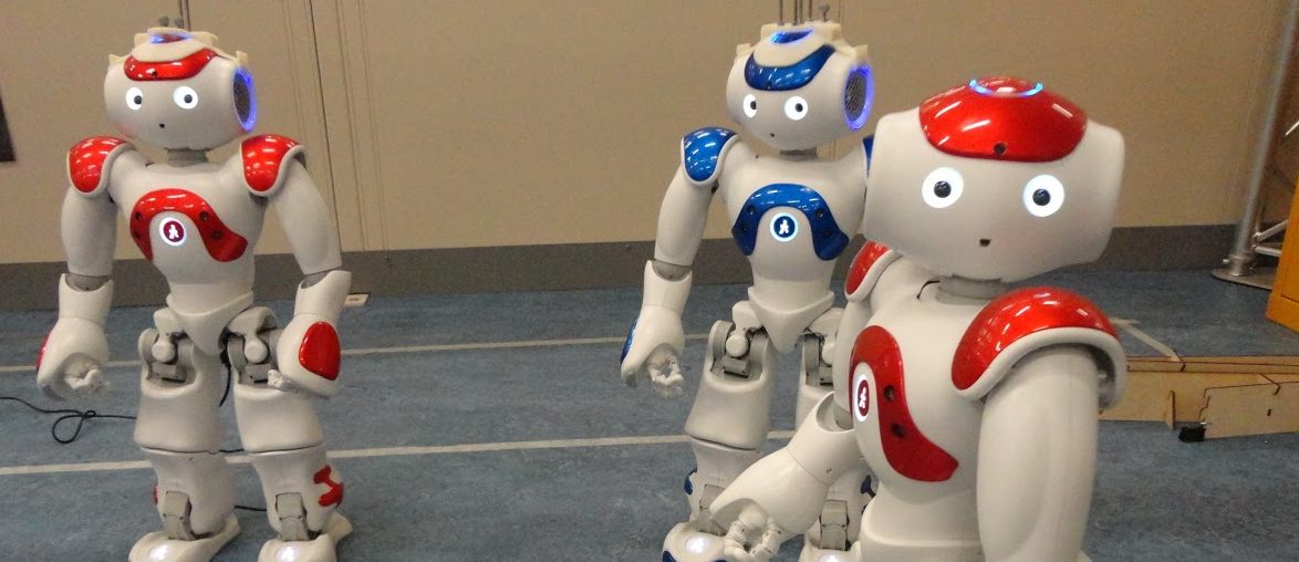 RoboTIPS (Responsible Robots for the Digital Economy)
